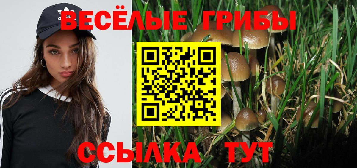 Псилоцибиновые грибы MAGIC MUSHROOMS  Вход с VPN  наркошоп  Ржев  Псилоцибиновые грибы Cubensis 